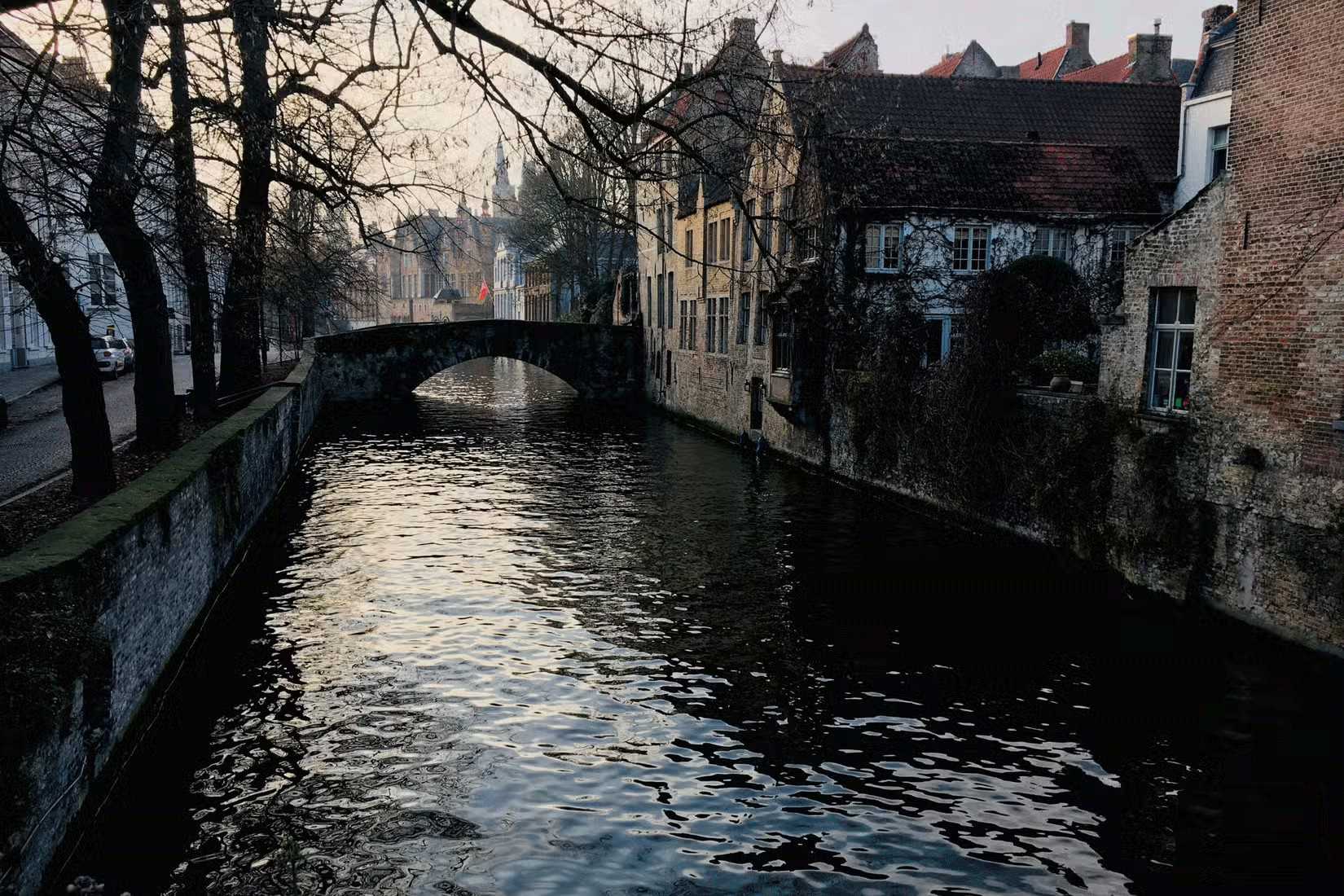 Không nên dùng Auto-Enhance nếu đã có hướng chỉnh sửa cụ thể